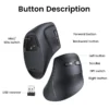 q9x4nWH365e201a55fd92_1709310373 Ugreen Vertical Ergonomic 4000DPI Wireless Silent Click Mouse for Laptop PC Windows Mac OS